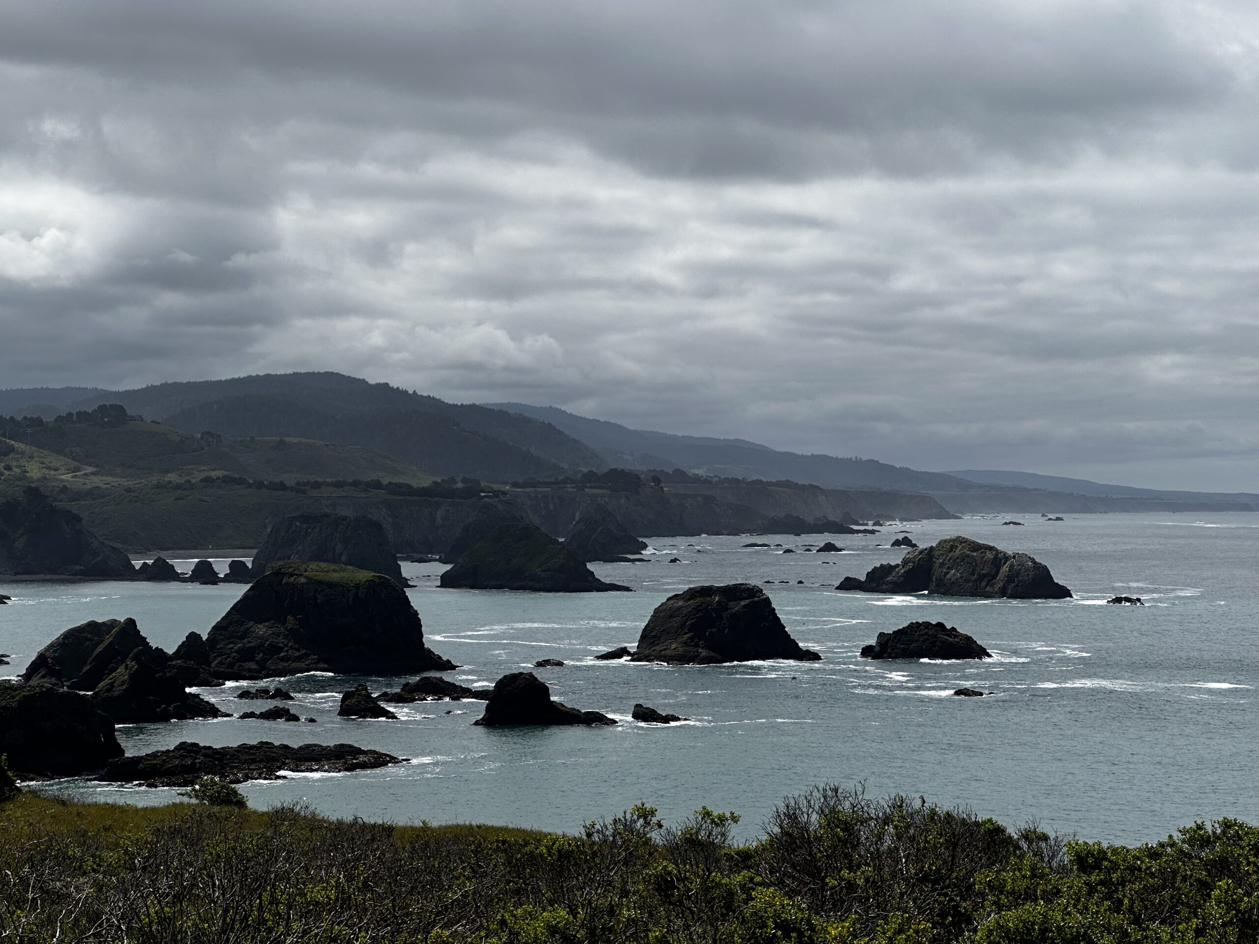 Farewell to California Coast