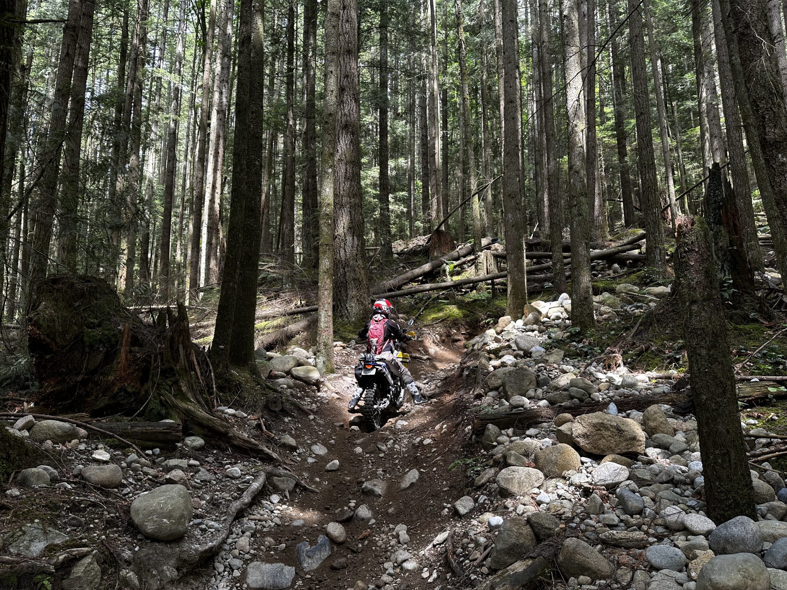 Intermission, where some get rest, and some drop their bike off a bridge