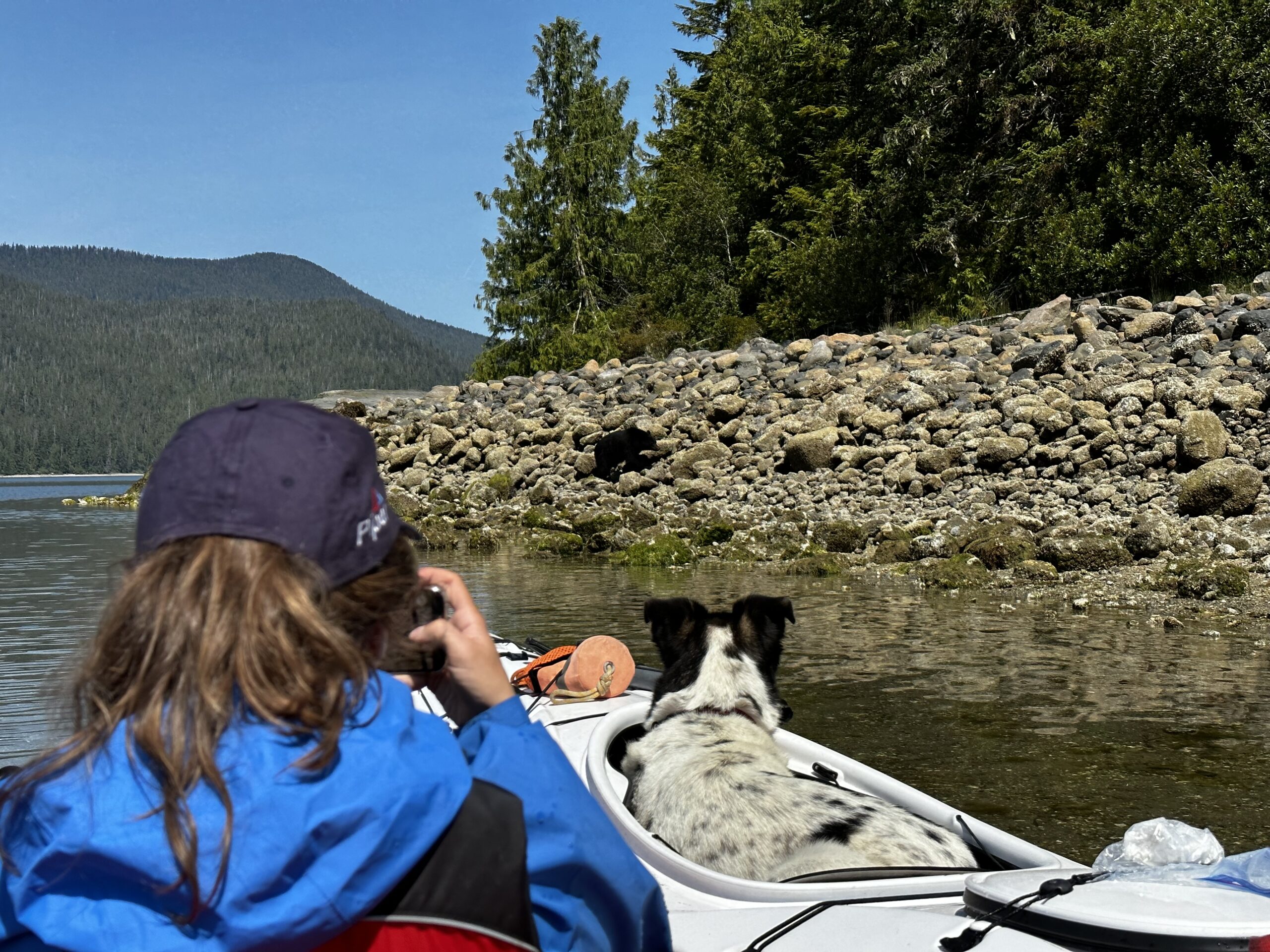 Vancouver Island, where the bears are nice