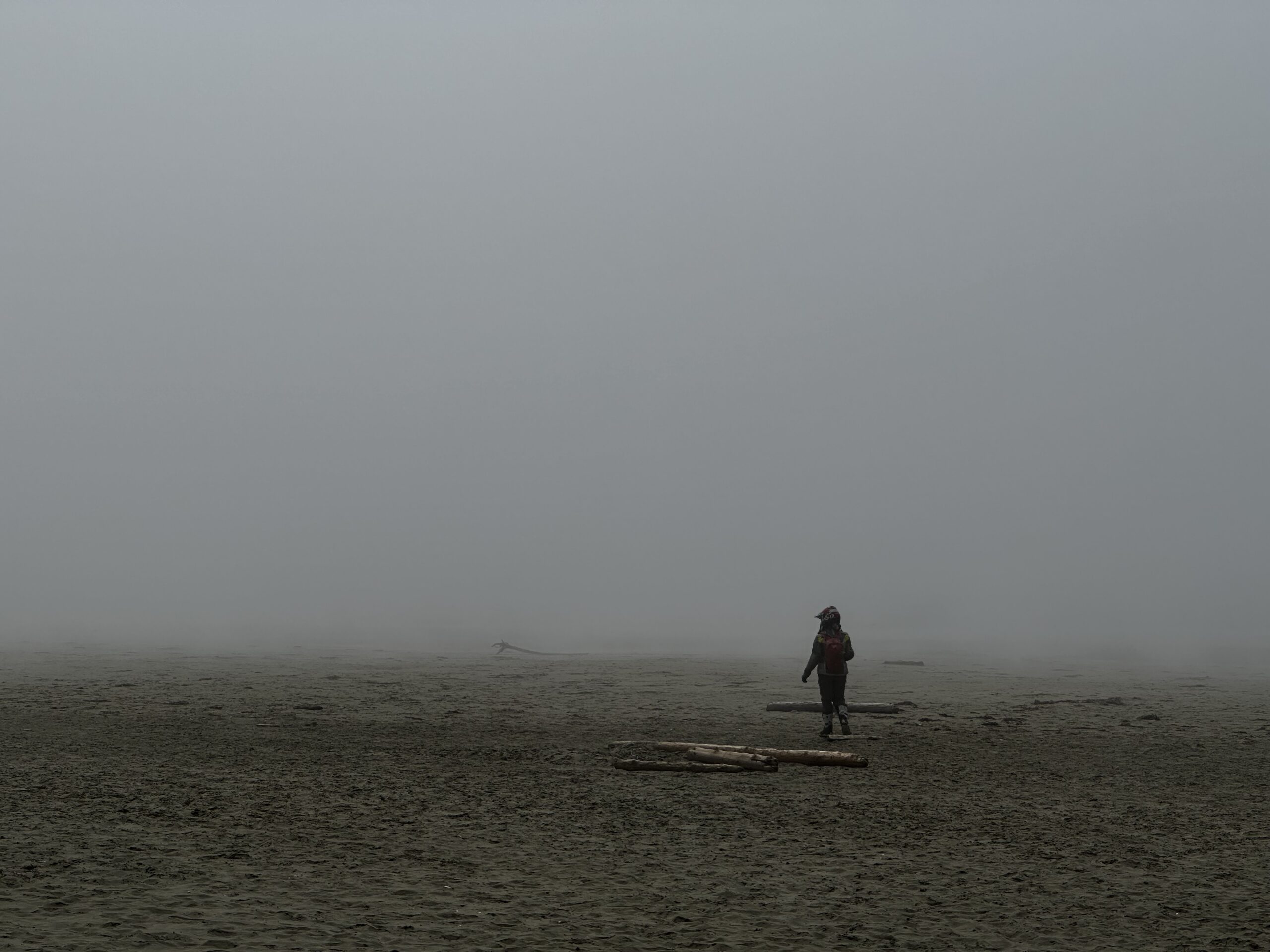 The diverse beaches of Vancouver Island